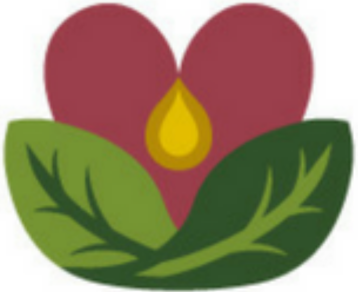 Liz Perkins Wellness